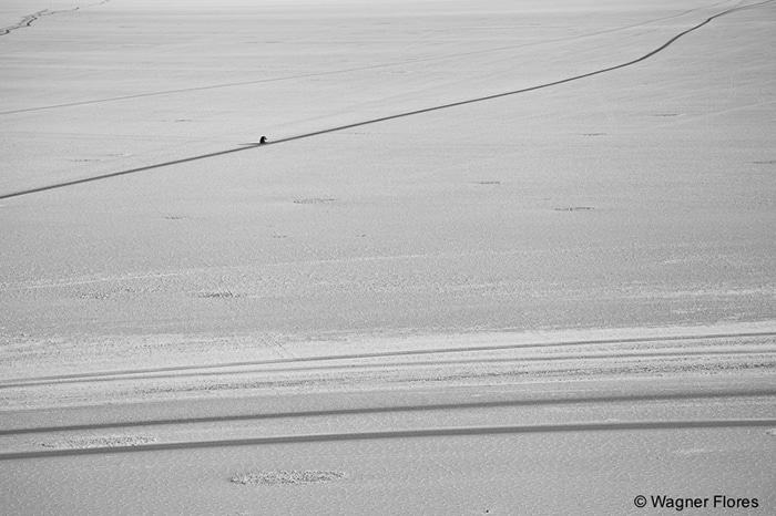 Salar Uyuni