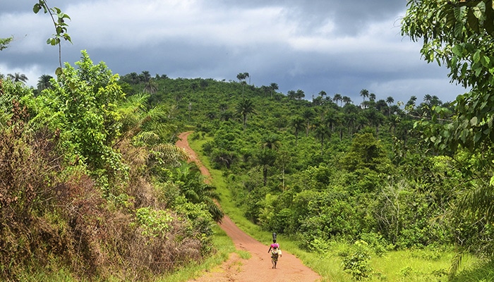 Estrada no sul da Serra Leoa (Foto por jbdodane).