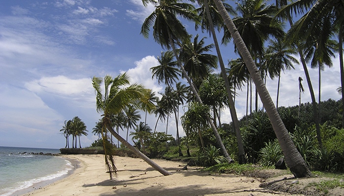 Praia no Timor-Leste (Foto por Matthew Winterburn).