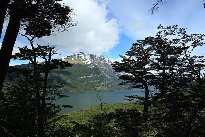 Parque Nacional Tierra del Fuego | Foto por Bruna Cazzoli