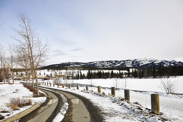 Perto do centro de Whitehorse é possível fazer uma caminha ao longo do Rio Yukon | Foto por Livia Auler