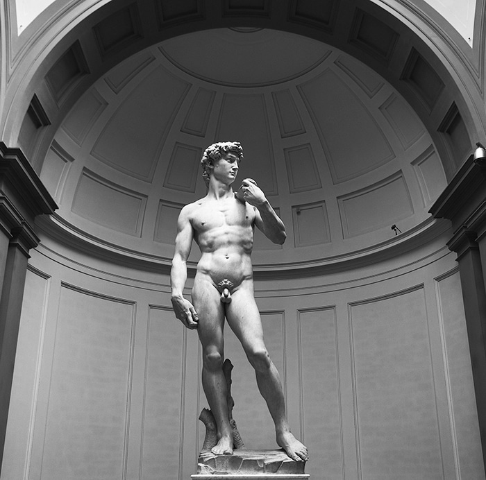 David de Michelangelo | 