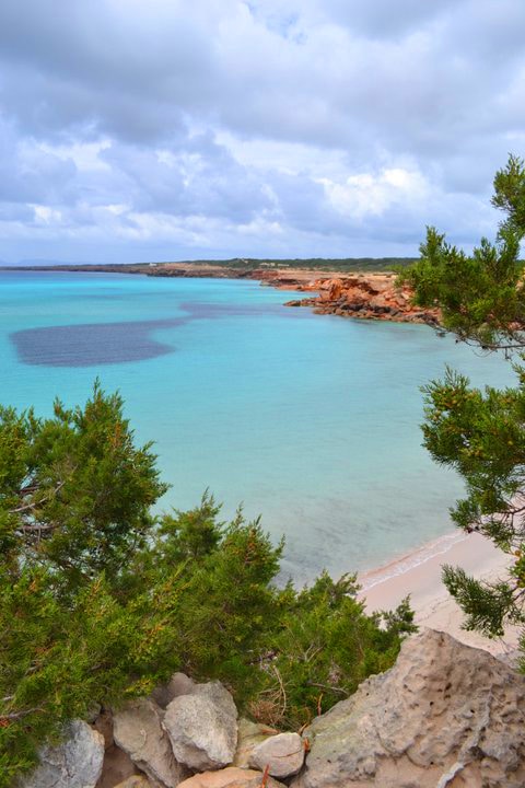 Cala Saona | Foto por Cristina Sanfelici