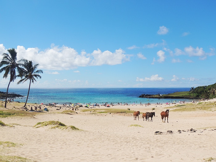 Praia Anakena | Foto por Sabrina Levensteinas 