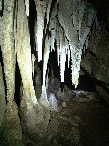 Estalagmites e estalactites formam uma coluna na caverna Santana | Foto por Bruna Cazzolato Ribeiro
