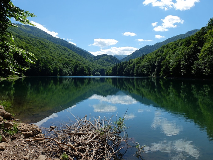 Parque Biogradska Gora, na região de Berane (Montenegro), próximo à divisa com Kosovo (Peja) | Foto de Fabian Julius