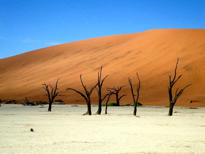 Deadvlei | Foto por Felipe Bauermann