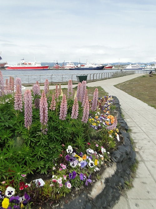 Orla de Ushuaia | Foto por Sabrina Levensteinas