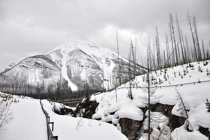 Marble Canyon | Foto por Lívia Auler