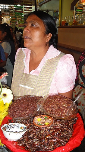 Chapulinos (grilos fritos) em Oaxaca, México | Foto enviada por Lara Taís Casagrande 