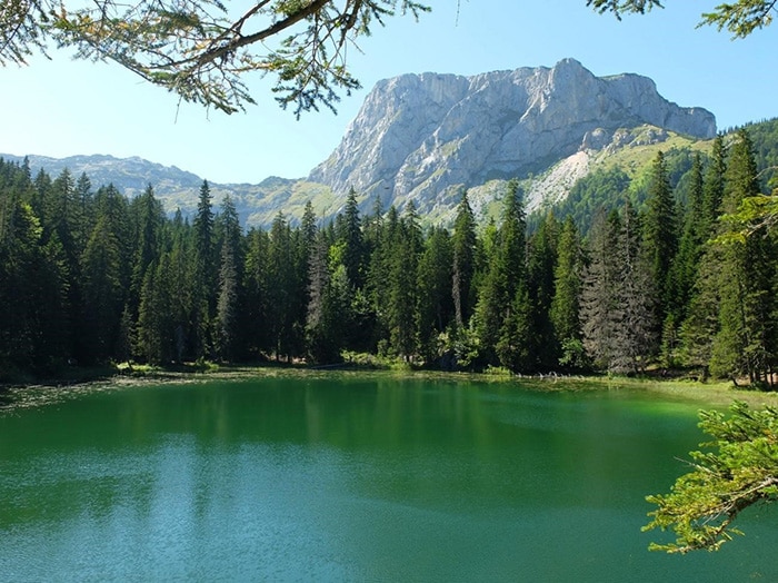 Durmitor National Park | Foto por Fabian Julius