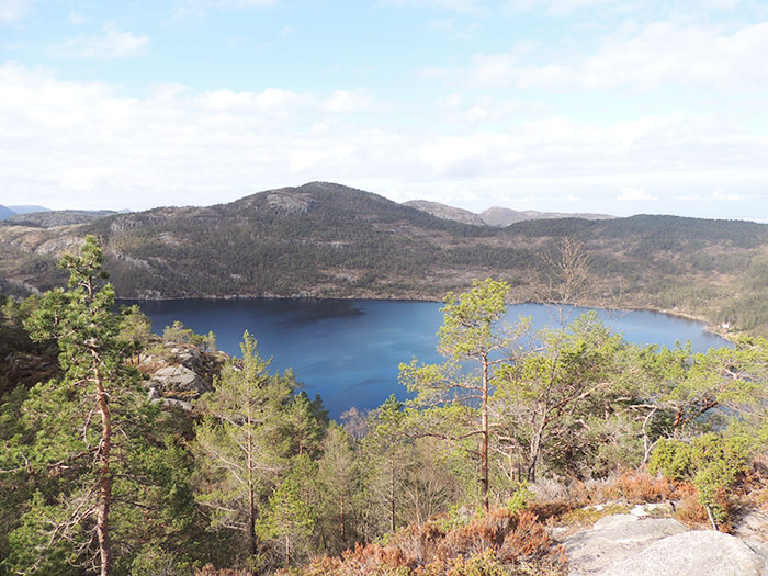 Uma das paisagens vistas ao longo da trilha para o Preikestolen | Foto por Sabrina Levensteinas 