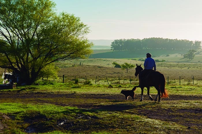 Gaucho em Cerro Largo | foto Zizo Asnis