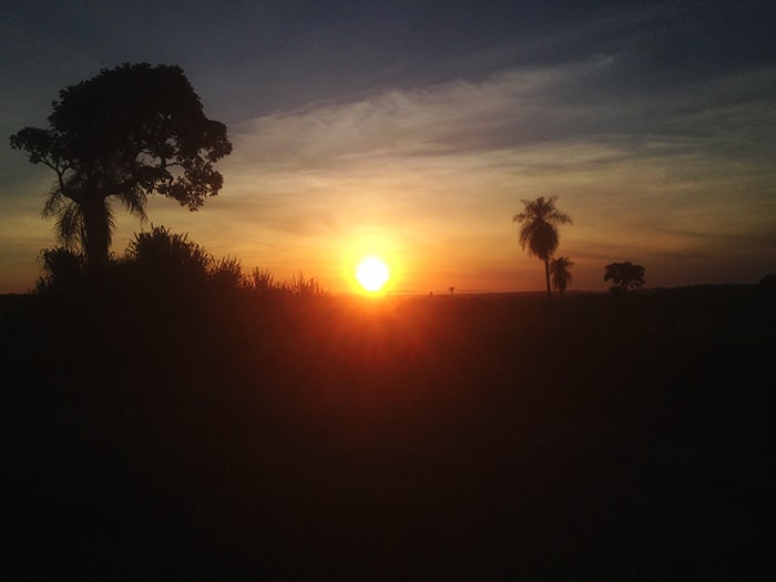 Nascer do Sol no Pantanal | Foto por Renata Ferri