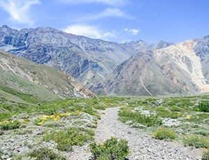 Caminho de Santiago