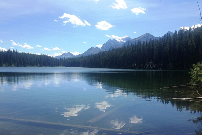 Herbert Lake | Foto por Carolina Caio