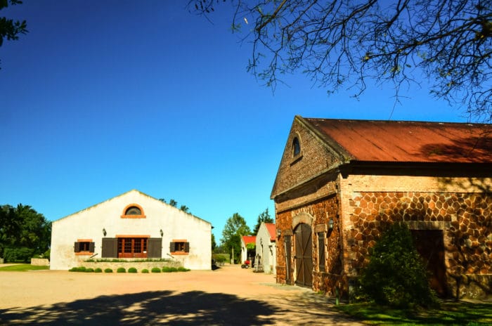 Bodega Juanico | Hélio Dias