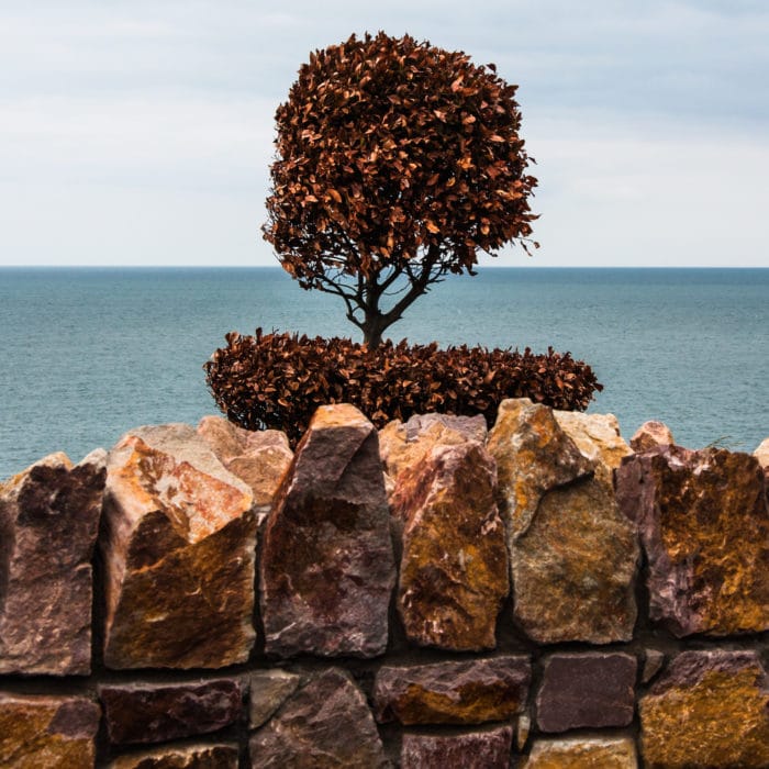 #Ireland #Howth