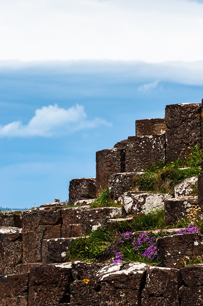 Giant'sCauseway | Henrique Kugler